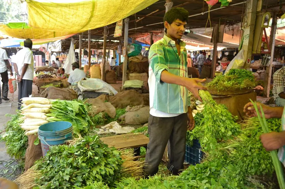 Farm-to-Table Market