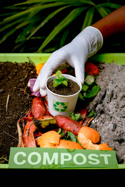 Organic Composting