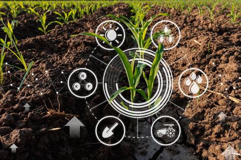 Organic Vegetable Farm