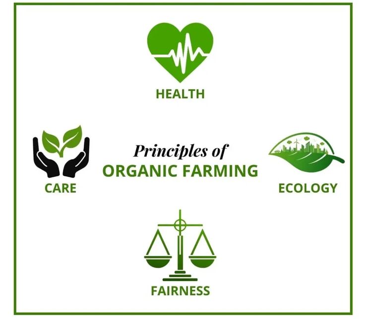 Benefits of Organic Farming