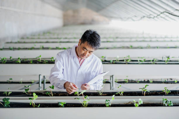 Advanced Studies in Organic Agriculture